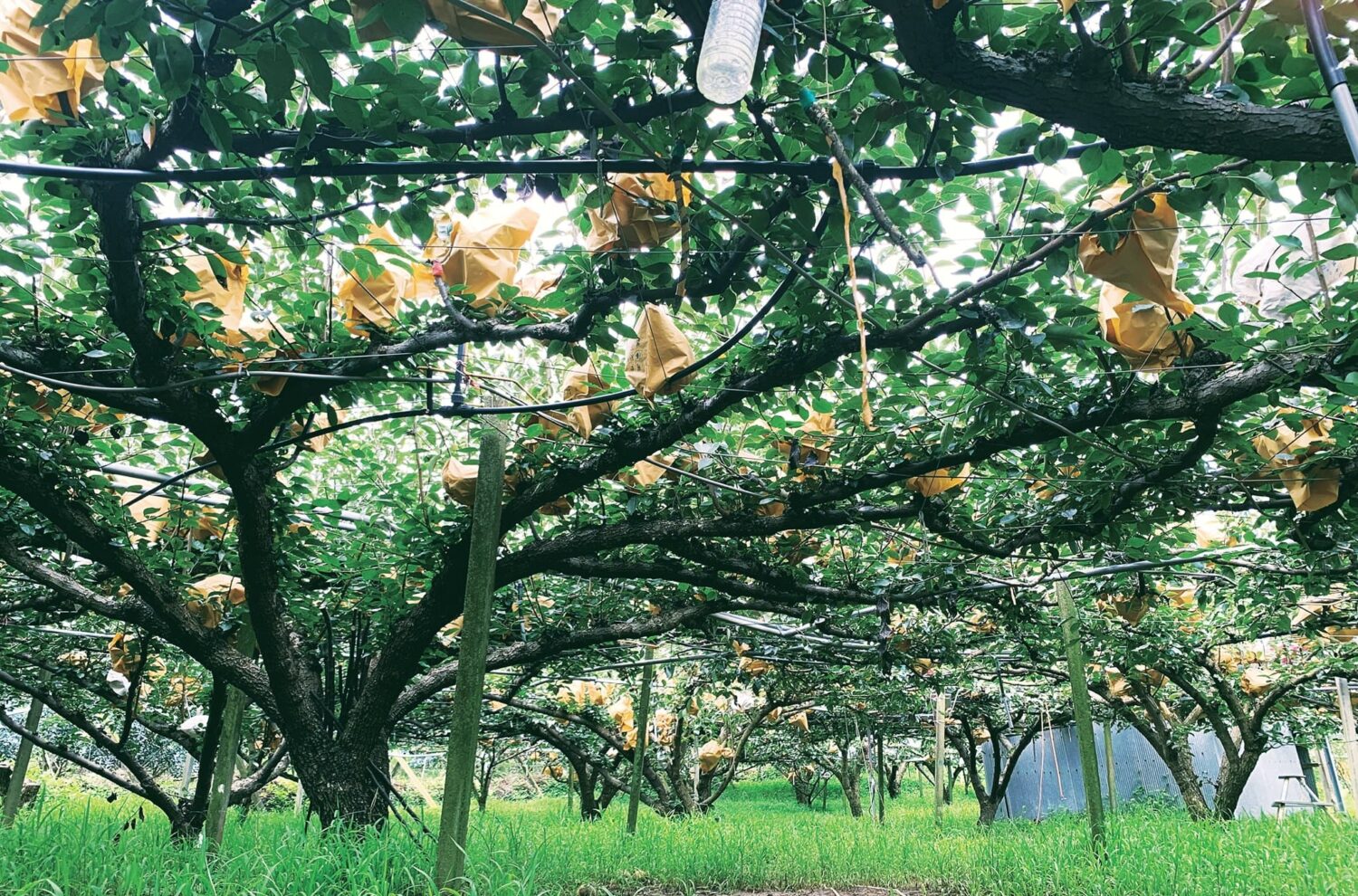 限量超值｜惜福回饋箱